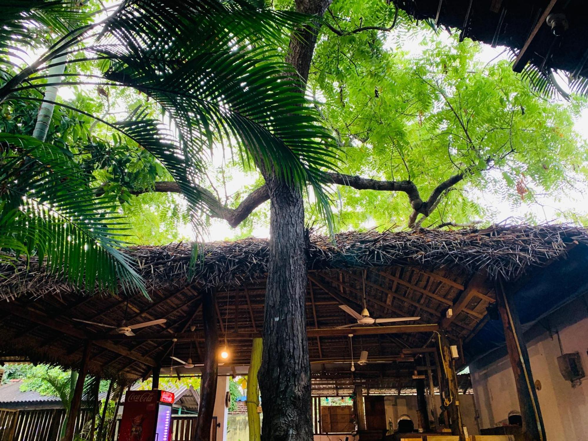 The Woodnest Villa Arugam Bay Luaran gambar